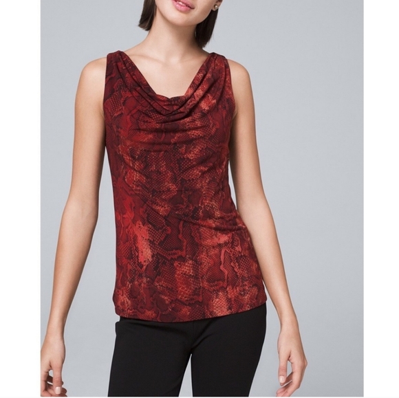 White House Black Market | Python-Print Top - Picture 10 of 16